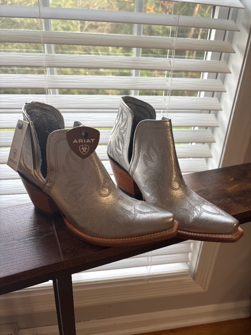 Ariat Dixon boot silver